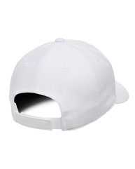 110® Pro-Formance® Cap