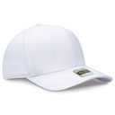 016 - White
