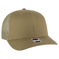 084 - Coyote Brown