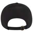 18-1 OTTO CAP 6 Panel Low Profile Style Baseball Cap 18-1