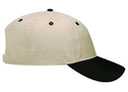 18-104 OTTO CAP 6 Panel Low Profile Baseball Cap
