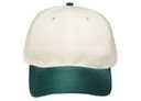 18-121 Natural Cotton Twill Low Profile Pro Style Caps