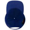 18-3 OTTO CAP 6 Panel Low Profile Style Dad Hat