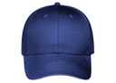 19-028 OTTO CAP 6 Panel Low Profile Baseball Cap