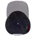 19-3 OTTO CAP 6 Panel Low Profile Baseball Cap