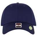 19-6 OTTO CAP 6 Panel Low Profile Style Baseball Cap 19-6