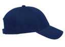 19-860 Ultra Soft Superior Brushed Cotton Twill Low Profile Pro Style Caps