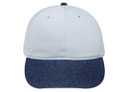 25-040 Brushed Denim Otto Sport Low Profile Pro Style Caps
