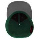 OTTO CAP "OTTO SNAP" 6 Panel Pro Style Snapback Hat