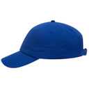 18-1225 OTTO CAP 6 Panel Low Profile Dad Hat