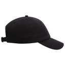 18-1225 OTTO CAP 6 Panel Low Profile Dad Hat
