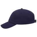 18-1225 OTTO CAP 6 Panel Low Profile Dad Hat