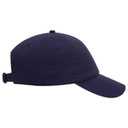 18-1225 OTTO CAP 6 Panel Low Profile Dad Hat