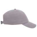 18-1225 OTTO CAP 6 Panel Low Profile Dad Hat
