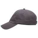 18-1225 OTTO CAP 6 Panel Low Profile Dad Hat