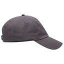 18-1225 OTTO CAP 6 Panel Low Profile Dad Hat