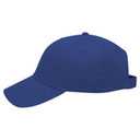 18-553 OTTO CAP 6 Panel Low Profile Baseball Cap