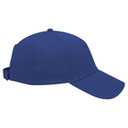 18-553 OTTO CAP 6 Panel Low Profile Baseball Cap
