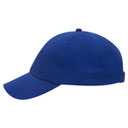 18-686 Brushed Cotton Twill Low Profile Pro Style Caps