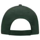 18-686 Brushed Cotton Twill Low Profile Pro Style Caps