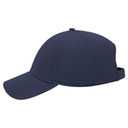 19-1051 OTTO CAP 6 Panel Low Profile Baseball Cap