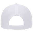 19-1051 OTTO CAP 6 Panel Low Profile Baseball Cap