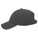 19-1051 OTTO CAP 6 Panel Low Profile Baseball Cap