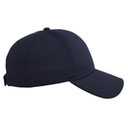 19-1122 Cool Comfort Polyester Cool Mesh with Anti-Odor Sweatband Low Profile Pro Style Caps