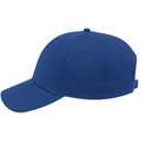 19-1203 Superior Cotton Twill Low Profile Style Caps