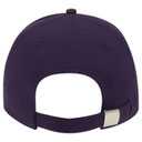 19-1203 Superior Cotton Twill Low Profile Style Caps