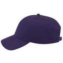 19-1203 Superior Cotton Twill Low Profile Style Caps