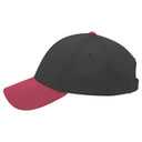 19-366 OTTO CAP 6 Panel Low Profile Baseball Cap