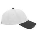 19-366 OTTO CAP 6 Panel Low Profile Baseball Cap