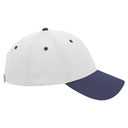 19-366 OTTO CAP 6 Panel Low Profile Baseball Cap