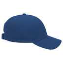 19-609 OTTO CAP 6 Panel Low Profile Baseball Cap