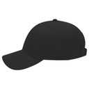 19-609 OTTO CAP 6 Panel Low Profile Baseball Cap