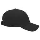 19-609 OTTO CAP 6 Panel Low Profile Baseball Cap