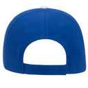 23-430 OTTO CAP 6 Panel Low Profile Baseball Cap