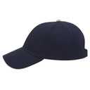 23-430 OTTO CAP 6 Panel Low Profile Baseball Cap