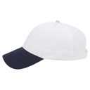 23-430 OTTO CAP 6 Panel Low Profile Baseball Cap