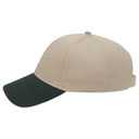23-430 OTTO CAP 6 Panel Low Profile Baseball Cap
