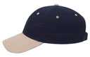23-430 OTTO CAP 6 Panel Low Profile Baseball Cap