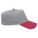 31-069 OTTO CAP 5 Panel Mid Profile Baseball Cap