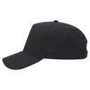 31-538 OTTO CAP 5 Panel Mid Profile Baseball Cap
