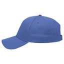 99-598 OTTO CAP 5 Panel Low Profile Baseball Cap