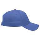 99-598 OTTO CAP 5 Panel Low Profile Baseball Cap