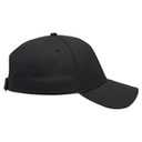99-598 OTTO CAP 5 Panel Low Profile Baseball Cap