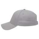 99-598 OTTO CAP 5 Panel Low Profile Baseball Cap