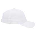 99-598 OTTO CAP 5 Panel Low Profile Baseball Cap