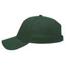 99-598 OTTO CAP 5 Panel Low Profile Baseball Cap
